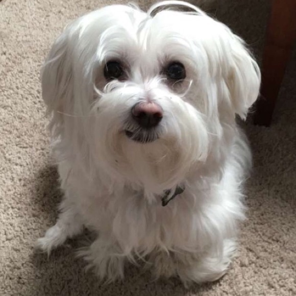 Meet the Posher! - Picture 1 of 1